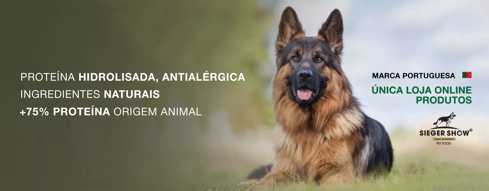 banner huppidog